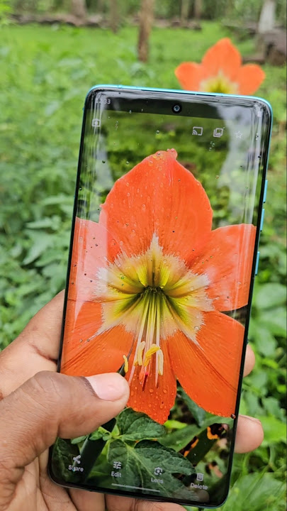 Motorola Edge 60 Fusion: The Camera You Didn't Expect