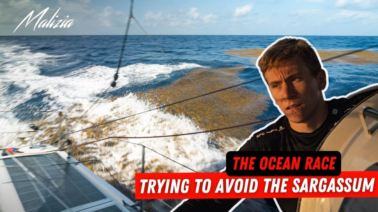 Trying to Avoid the Sargassum - Day 9 - Leg 4 - The Ocean Race