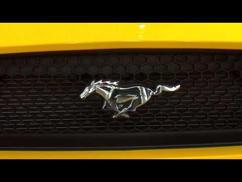 Ford-ის განახლებული ცენტრი თბილისში - რა დასჭირდა GT Motors-ს ევროპული სტანდარტის მისაღწევად?!