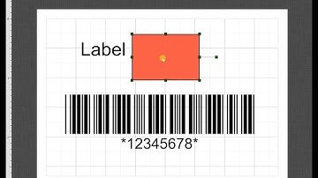 Barcode & Label Overview
