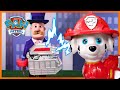 Marshall and Chase Rescue Missions 🚨 | PAW Patrol Compilation | Toy Pretend Play for Kids