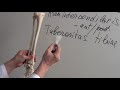 Tibial bone