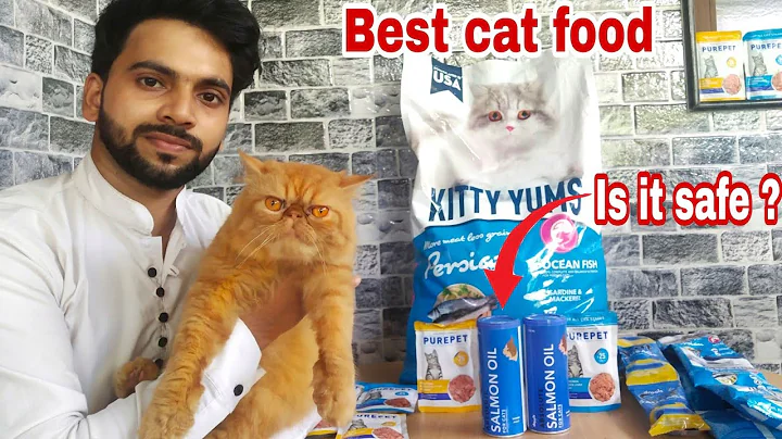 Video 276281: persian cat food review, persian cat food kitten, persian cat kitty, best persian cat food