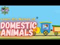 Learn the Names of Domestic Animals in English | Learn English