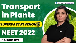 Transport in Plants | Super Fast Revision in One-Shot | Biology | NEET 2022 | Ritu Rattewal