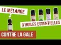 Diy gale  fabriquer son remde naturel aux huiles essentielles