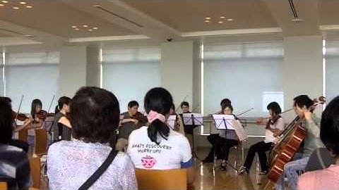 Suite for Strings 01