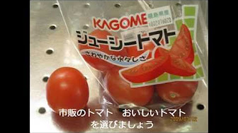 トマト 種取りまとめ Youtube トマト 種取りまとめ Youtube