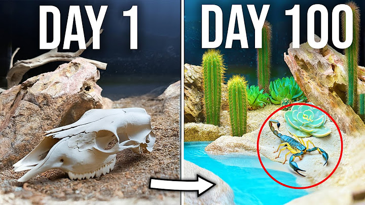 Simulating a Desert Oasis