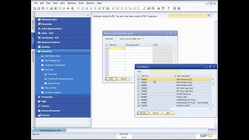 SAP BUSINESS ONE INVENTORY FUNCTIONALITY DEMONSTRATION