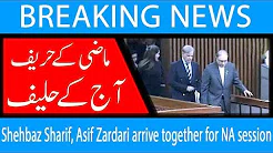 Shehbaz Sharif, Asif Zardari arrive together for NA session