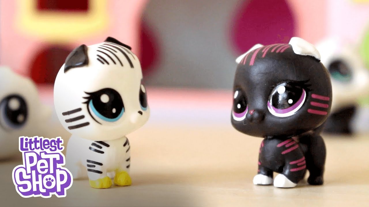 littlest pet shop toy videos