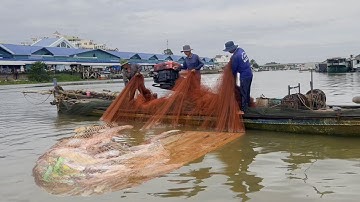 Trải nghiệm mưu sinh nghề lưới nèm cá kết trên sông Hậu - Sông Nước Cửu Long - Nguyễn Hùng