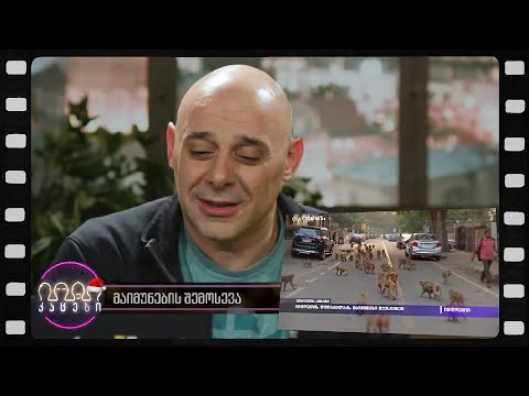 მაიმუნების შემოსევა (არშესული კადრები)