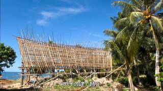 Yap Gallery ヤップ島 検索動画45 Yap Gallery ヤップ島 検索動画 45