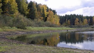 Как выманить щуку | Рыбалка на тихой речке | Красивая осень