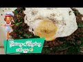 Ginisang Kangkong with egg🍳 | Cristinefaith