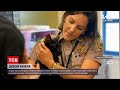 Новини світу: під завалами будинку в Маямі знайшли кота Бінкса
