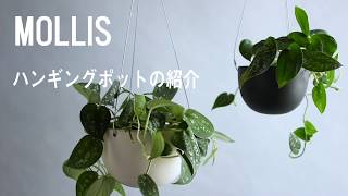 MOLLIS JOURNAL [Tips] ハンギングポットの紹介