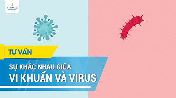 Sự khác nhau giữa vi khuẩn và virus
