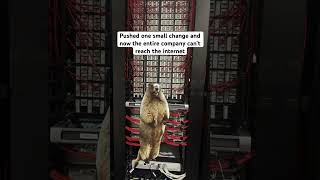 This should be safe #techtok #networkengineer #ccna #shorts