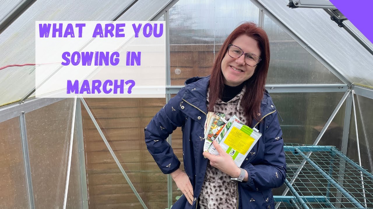 What To Sow In March - Allotment Gardening For Beginners UK - YouTube