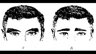 Тайны криминалистики. Противостояние.