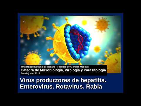 Seminario Injuria 06. Hepatitis - Enterovirus - Rotavirus - Rabia