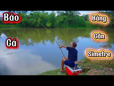 Câu Chem Chép Bằng Cần ShimaTre Huyền Thoại