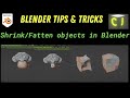 Blender Tips &amp; Tricks - Shrink/Fatten objects in Blender 3