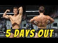 THE NEGATIVE SIDE EFFECTS OF BEING SHREDDED | 5 Days Out