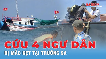 Cứu kịp thời 4 ngư dân trên tàu cá bị sóng đánh chìm tại Trường Sa | Tin tức