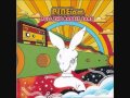 PINE*am - Mackerel Sky