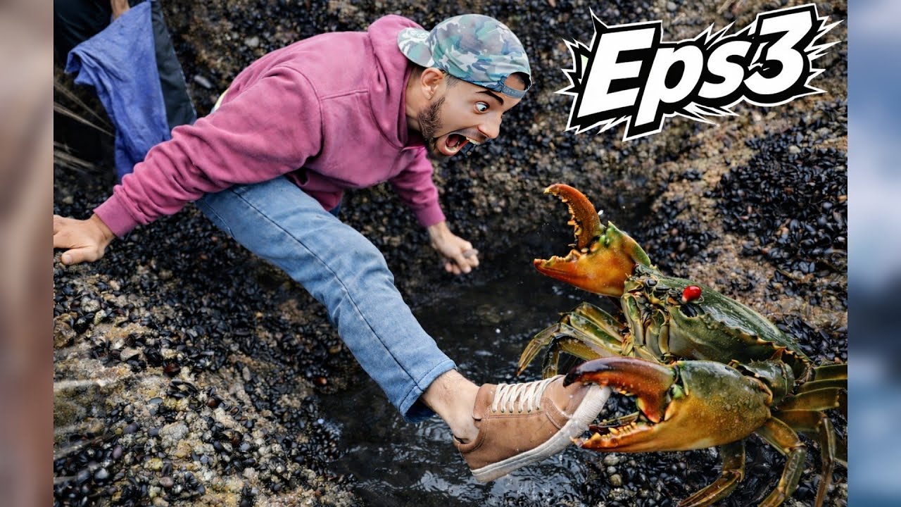 شاهذ كيف خاطرنا لجمع فواكه البحر وطبخها بطريقة مذهلة !!! -صيد وطبخ EPS 3