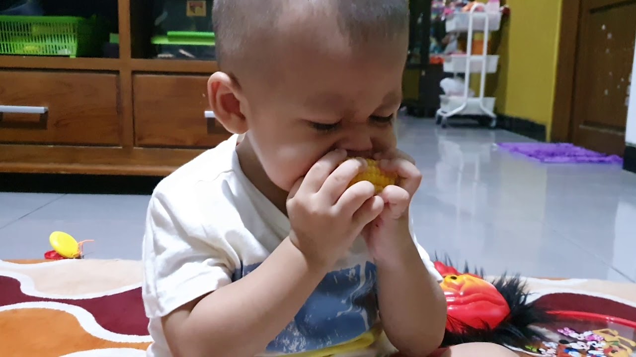  Bayi  lucu makan  jagung YouTube