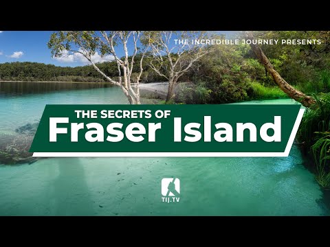 Fraser Island: Australia's Natural Wonder