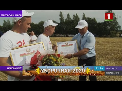 Уборочная-2020: как аграрии
