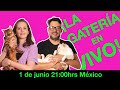 ¡LA GATERÍA EN VIVO!