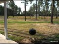 174 999 4BR 2BA In BROOKLET 30415 Call Paul Newman 912 481 1117 174 999 4BR 2BA In BROOKLET 30415 Call Paul Newman 912 481 1117