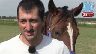 A La Rencontre De Bruno Marie Part1 - A2Turf.com