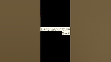 سورة الحشر الآية 17