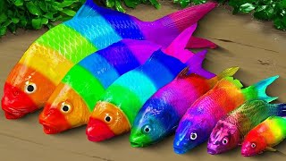 Stop Motion Cooking ASMR Colorful Koi Fish Cow, ikan & Big Frog 다채로운 잉어물고기 | 거대한 개구리  무지개 메기/ 스톱 모션