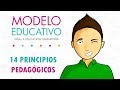 14 PRINCIPIOS PEDAGÓGICOS 2018  |  Modelo Educativo 2018