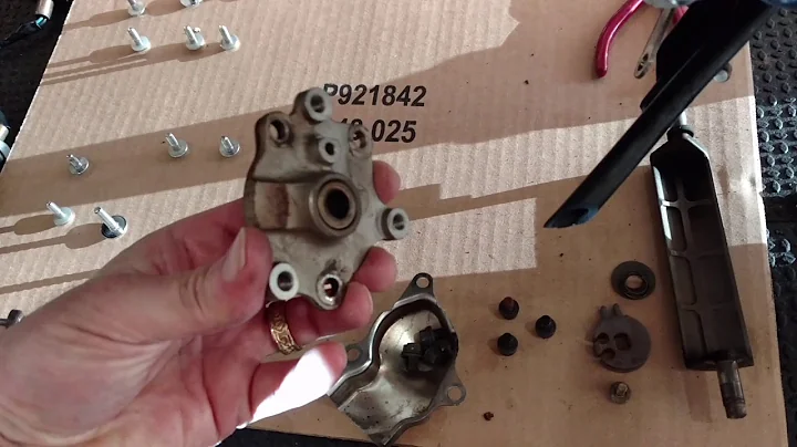 FZR 1000 Brake line upgrade, EXUP service