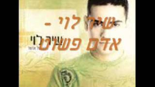 שיר לוי - אדם פשוט