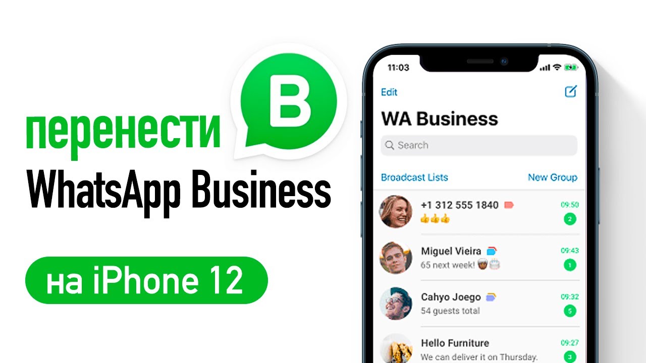 Перенести ватсап на ватсап бизнес айфон. WHATSAPP нового. Установить ватсап бизнес на айфон. Как выйти из ватсап бизнес на айфон XR.