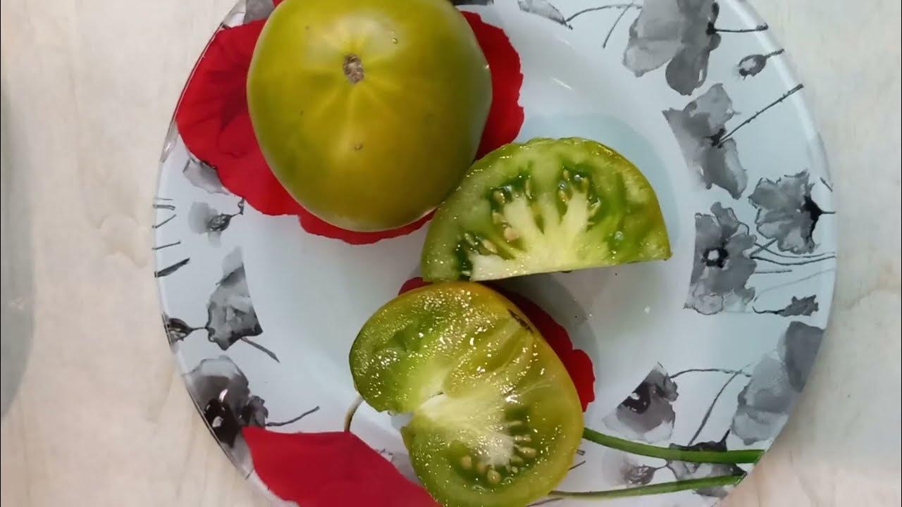 ТОМАТ СИБИРСКИЙ КИВИ СОВСЕМ НЕ КИВИ . ОТЗЫВ О ТОМАТЕ СИБИРСКИЙ КИВИ ...