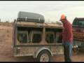 How to Hunt with Bird Dogs : How to Transport Hunting Dogs How to Hunt with Bird Dogs : How to Transport Hunting Dogs