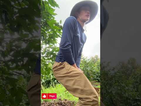 #funny #haihuoc