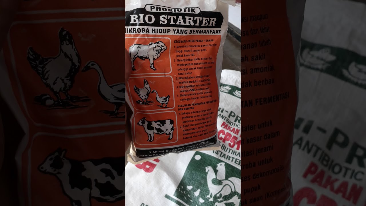 Ketiak Tidak Agar Bau